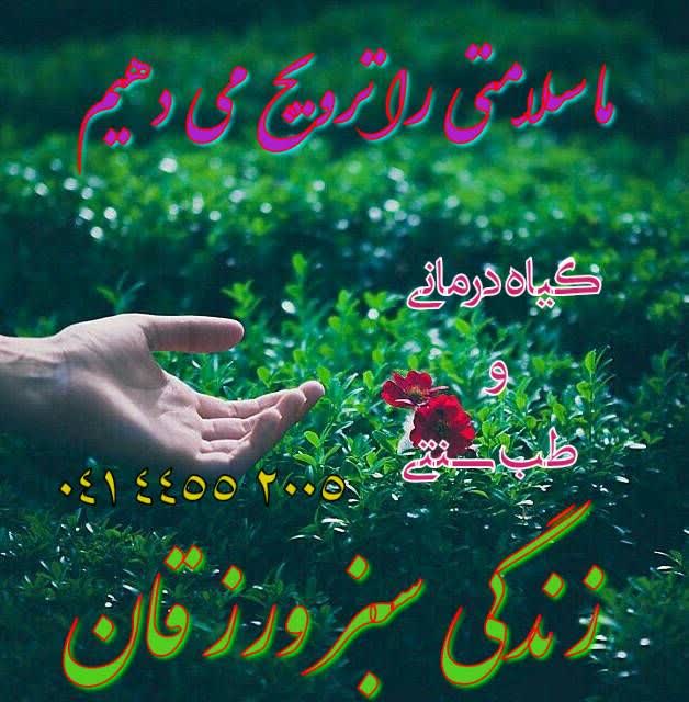 مجموعه زیباسازان سبز 