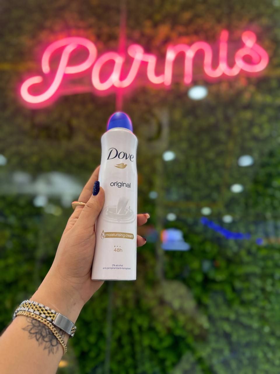 گالری پارمیس محمودی در قروه