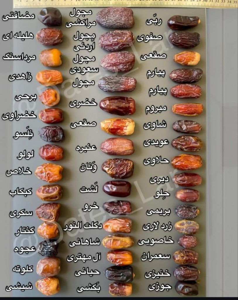 نیما اسکندری 