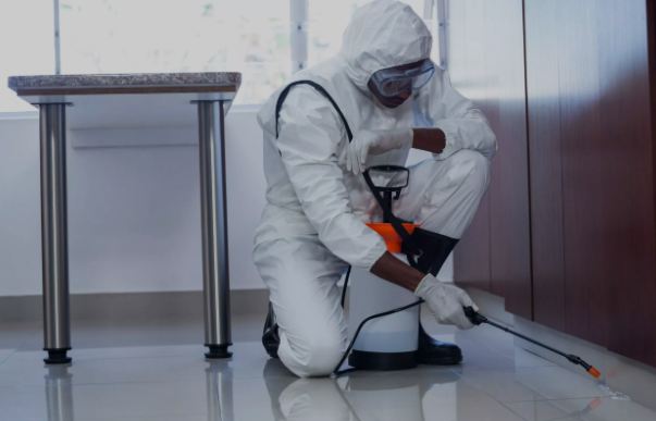 سمپاشی در کیش