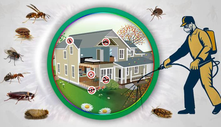 سمپاشى سوسك كابينتى در تهران