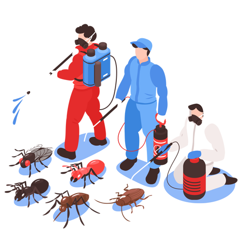 سمپاشى سوسك كابينتى در تهران