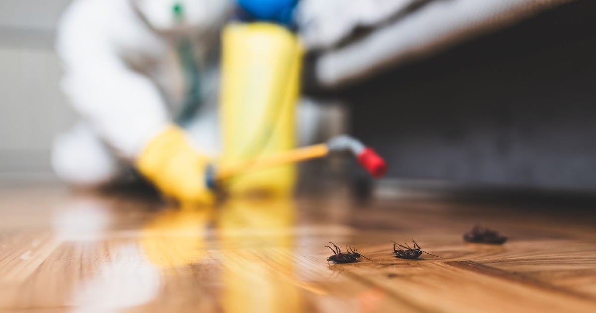 سمپاشى سوسك كابينتى در تهران