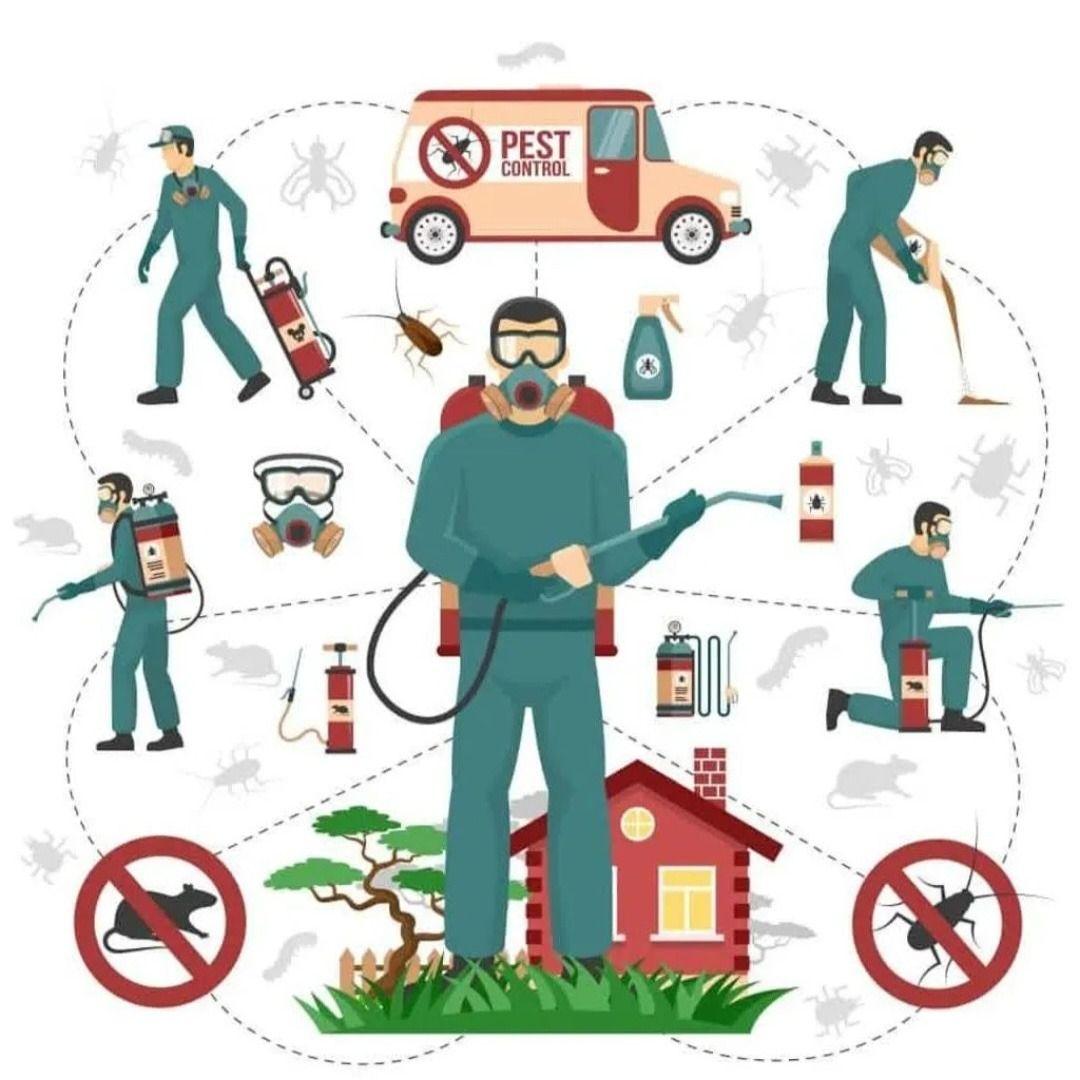 سمپاشى سوسك كابينتى در تهران