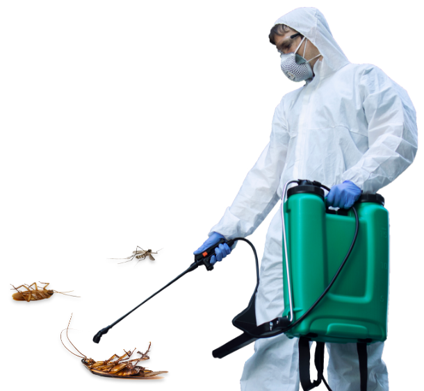 سمپاشى سوسك كابينتى در تهران