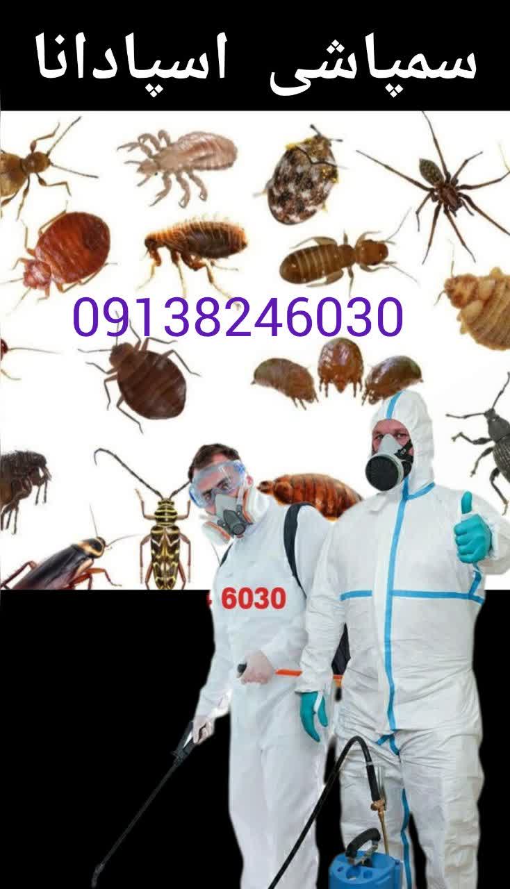 بهترین سم پاشی در فولادشهر