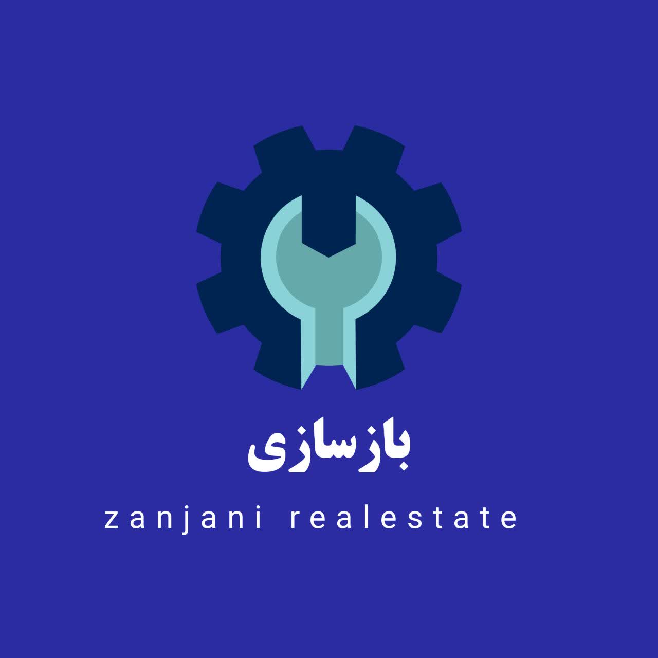 رضا زنجانی
