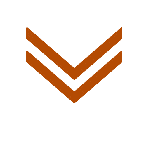 علیرضا پوریوسف باغبیدی