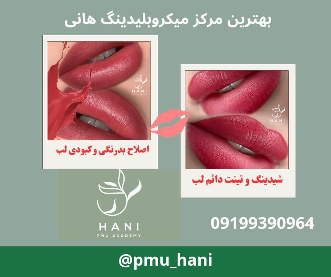بهترین مرکز میکروبلیدینگ هروی