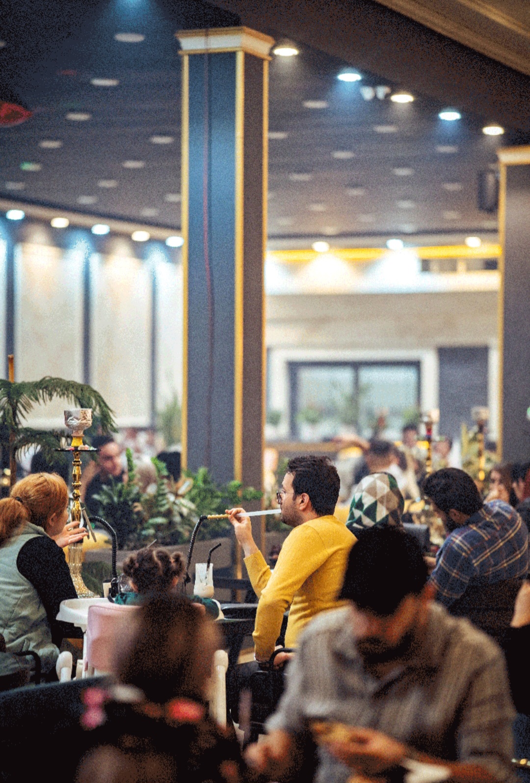 موسیقی زنده فردیس