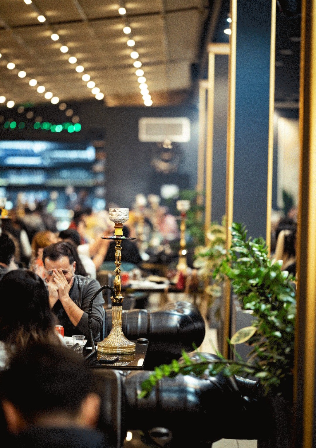 موسیقی زنده فردیس