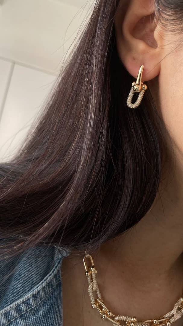 احمد نیک نام