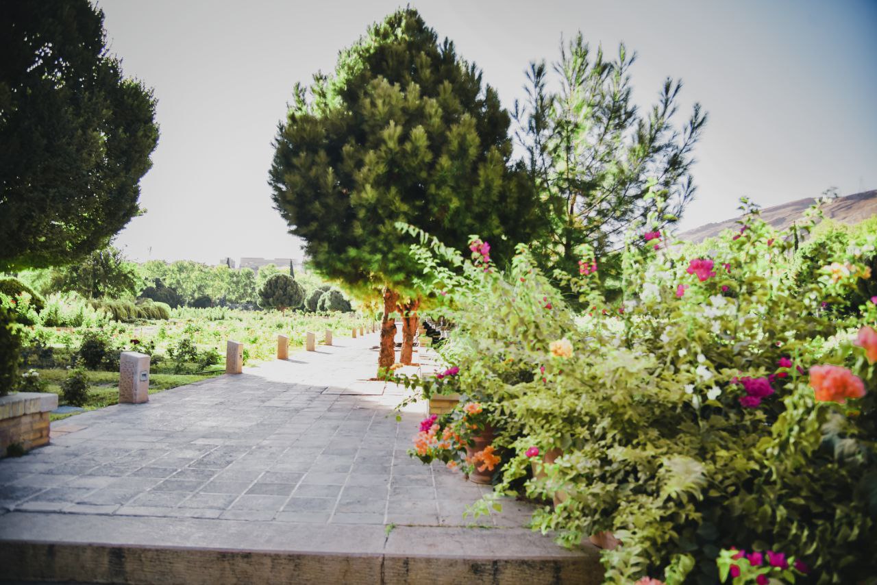 عکاسی گل بوته در شیراز