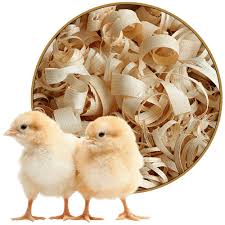 پوشال مرغداری رولی متری