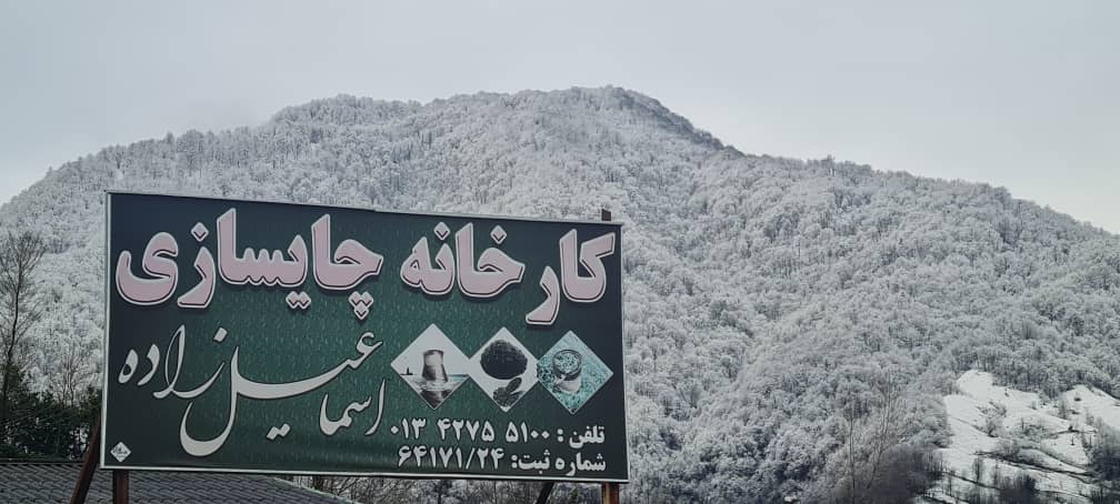 مسعود اسماعیل زاده