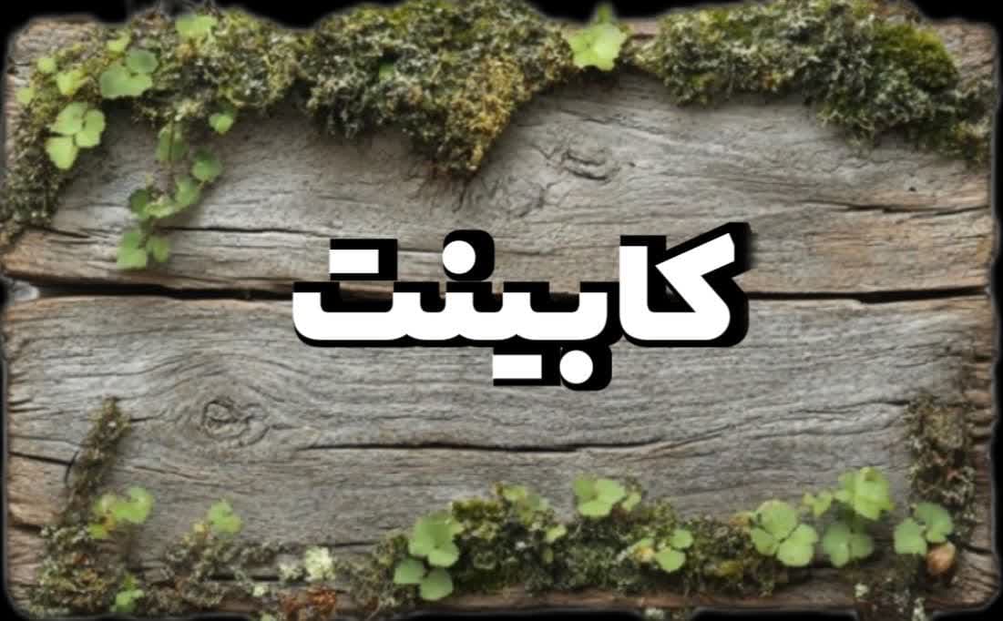 شرکت چشم انداز