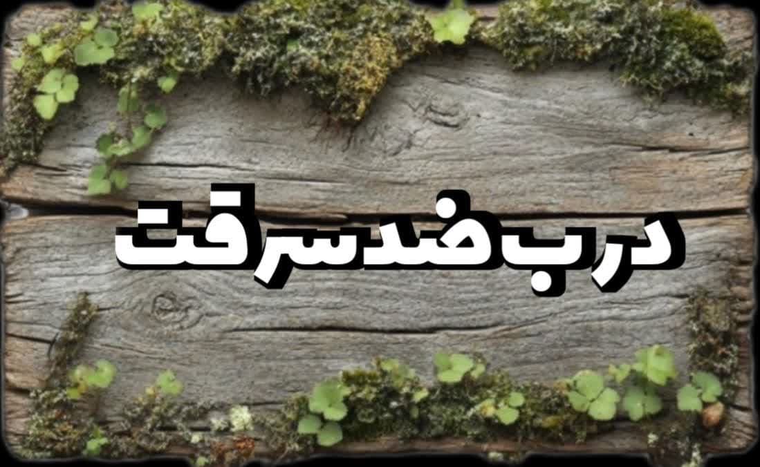 شرکت چشم انداز