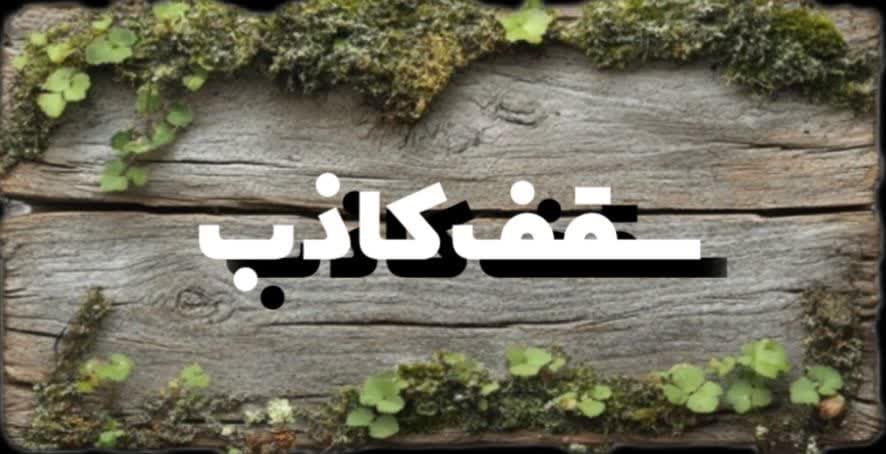 شرکت چشم انداز