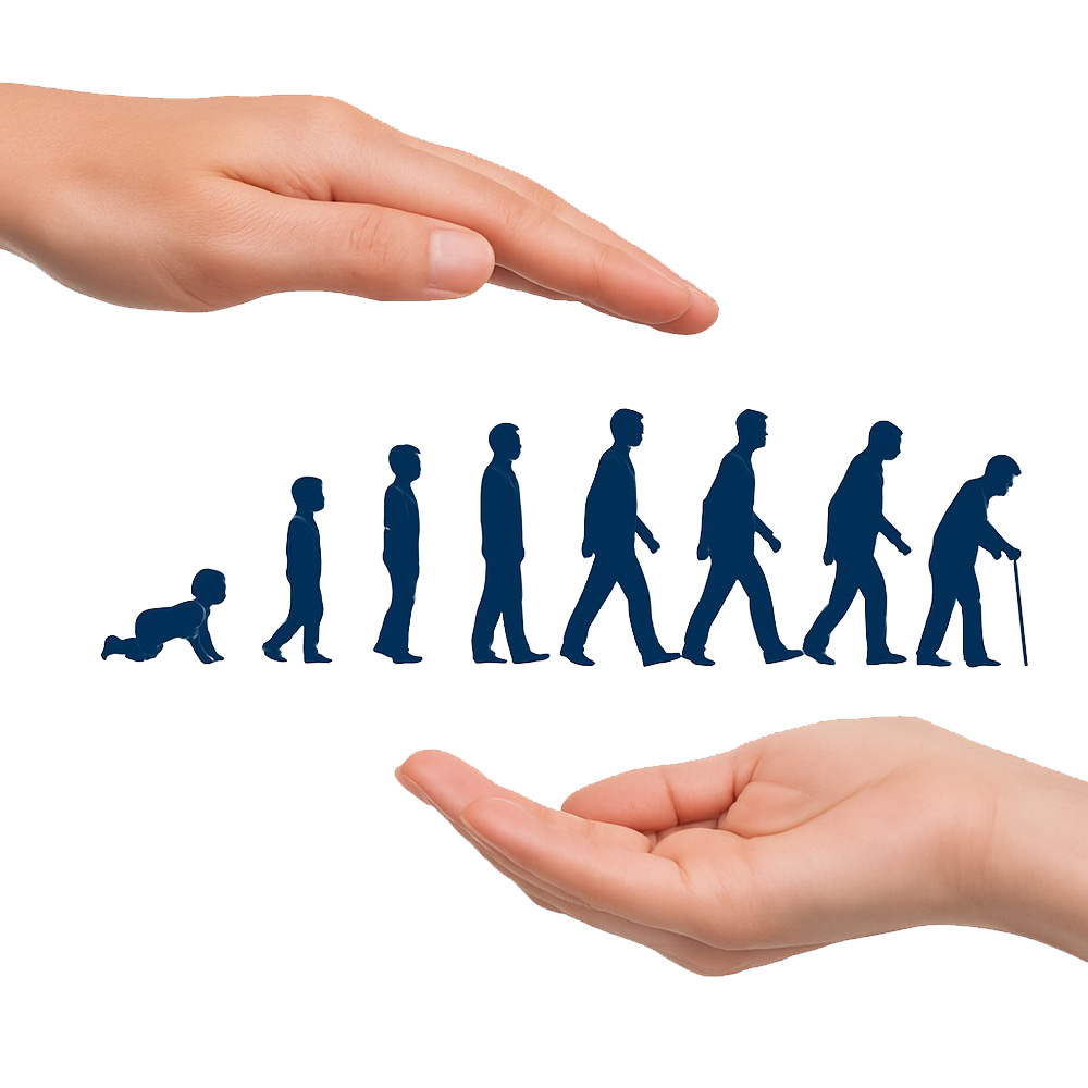 سحر انصاری بیمه 