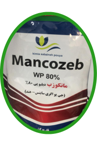 بذر صیفیجات