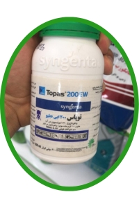 بذر سبزیجات