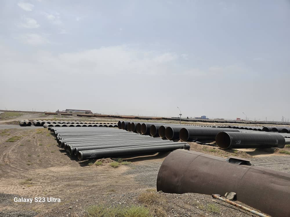 علیرضا متانت