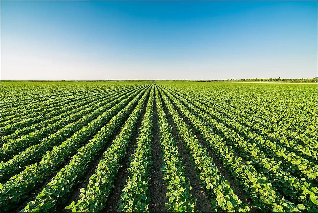 اردستان تیپ 