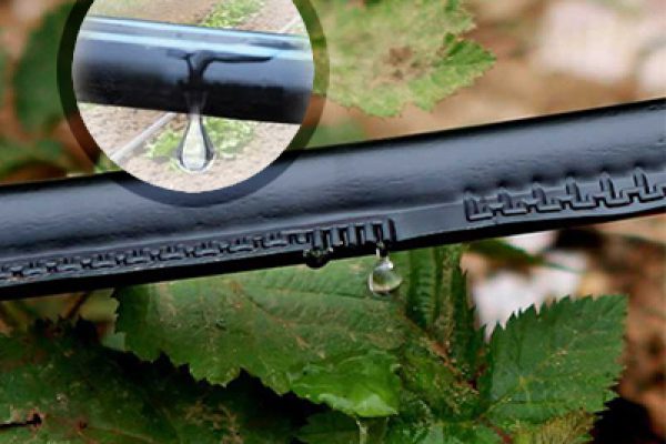 اردستان تیپ 