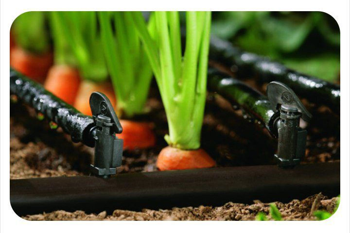 اردستان تیپ 