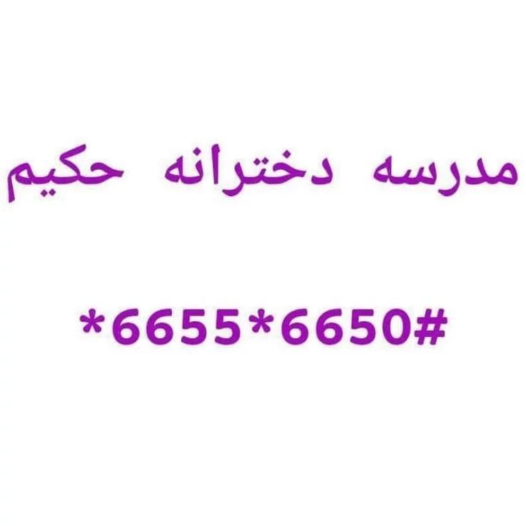 سید مسلم تقوی دانا
