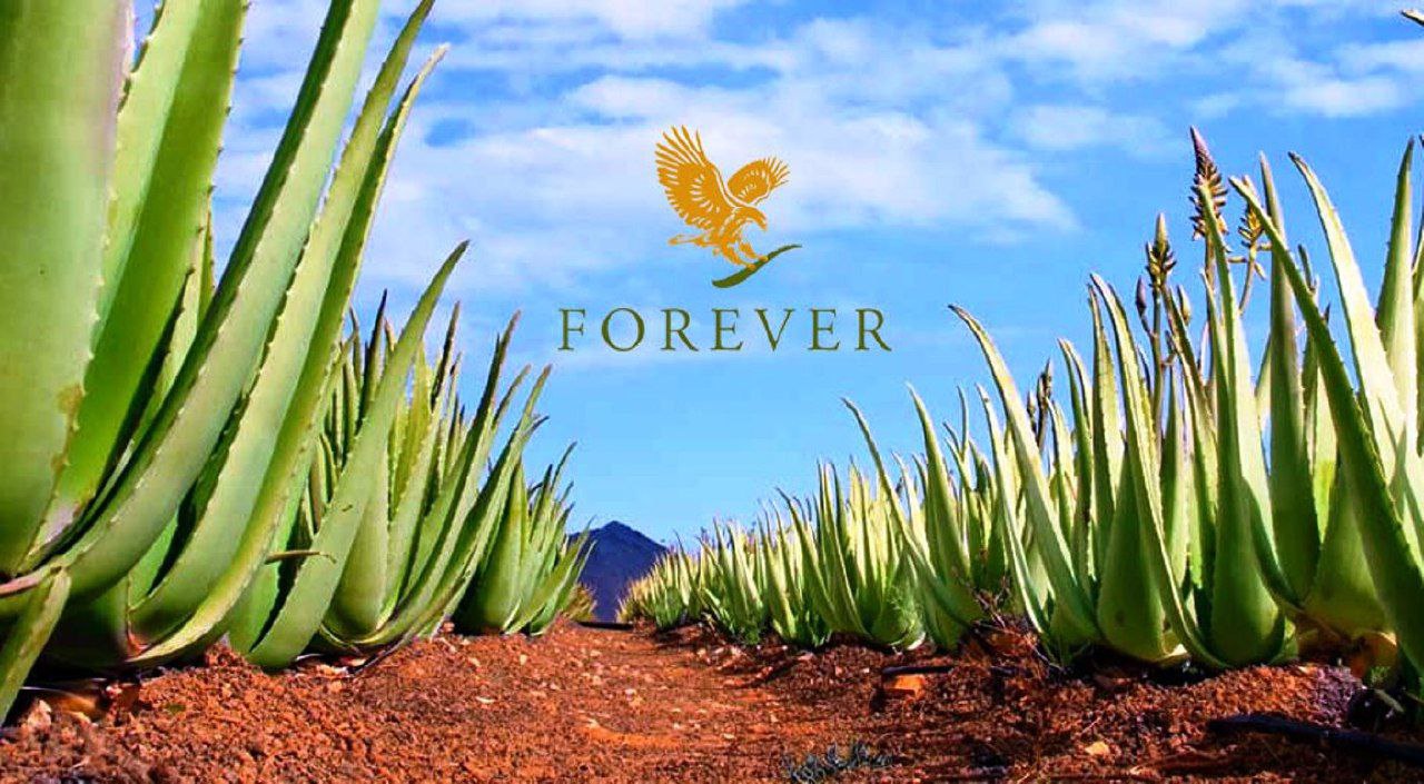 بهترین کلینیک لاغری در اصفهان کجاست