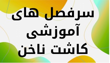 آموزشگاه کاشت ناخن  در کرمان