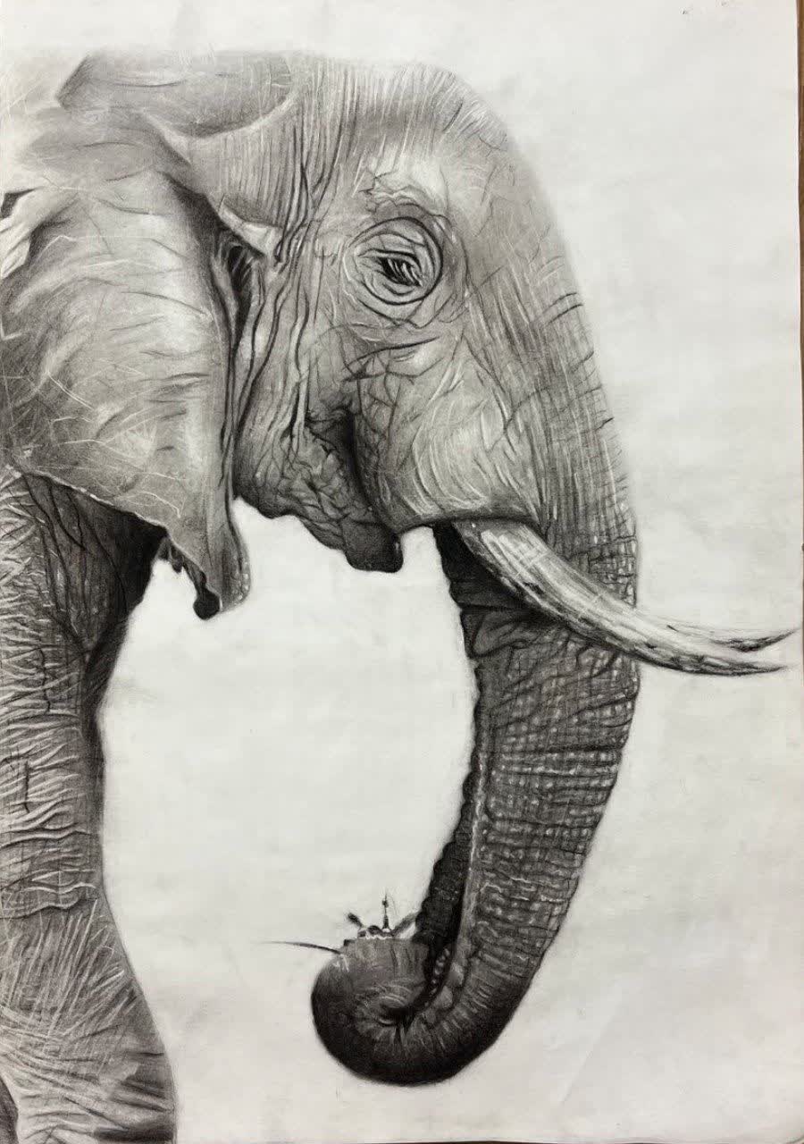 مربی نقاشی یاسوج