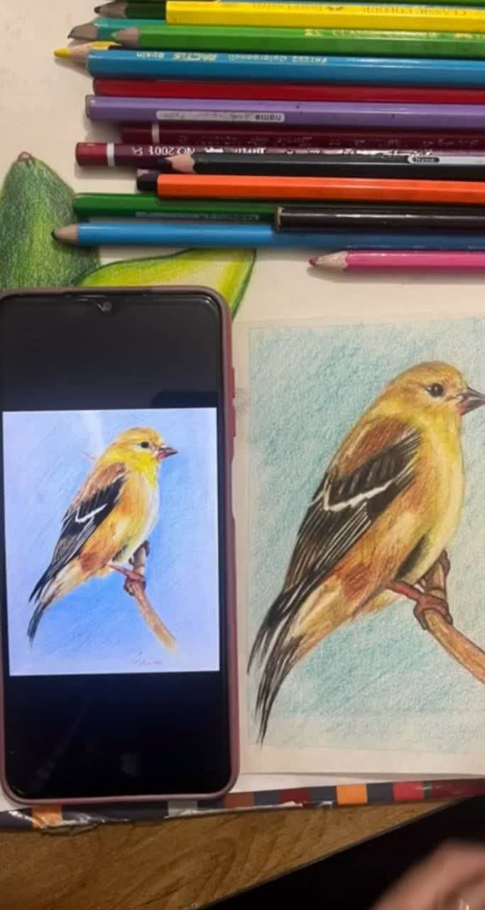 مربی نقاشی یاسوج