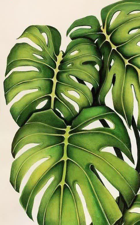 مربی نقاشی یاسوج