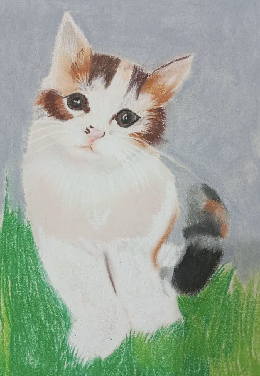 مربی نقاشی یاسوج