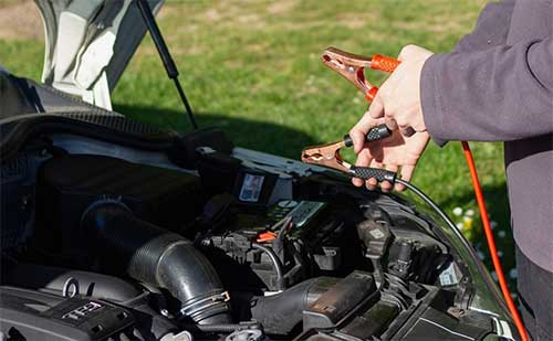 حمیده ملانوری شمسی