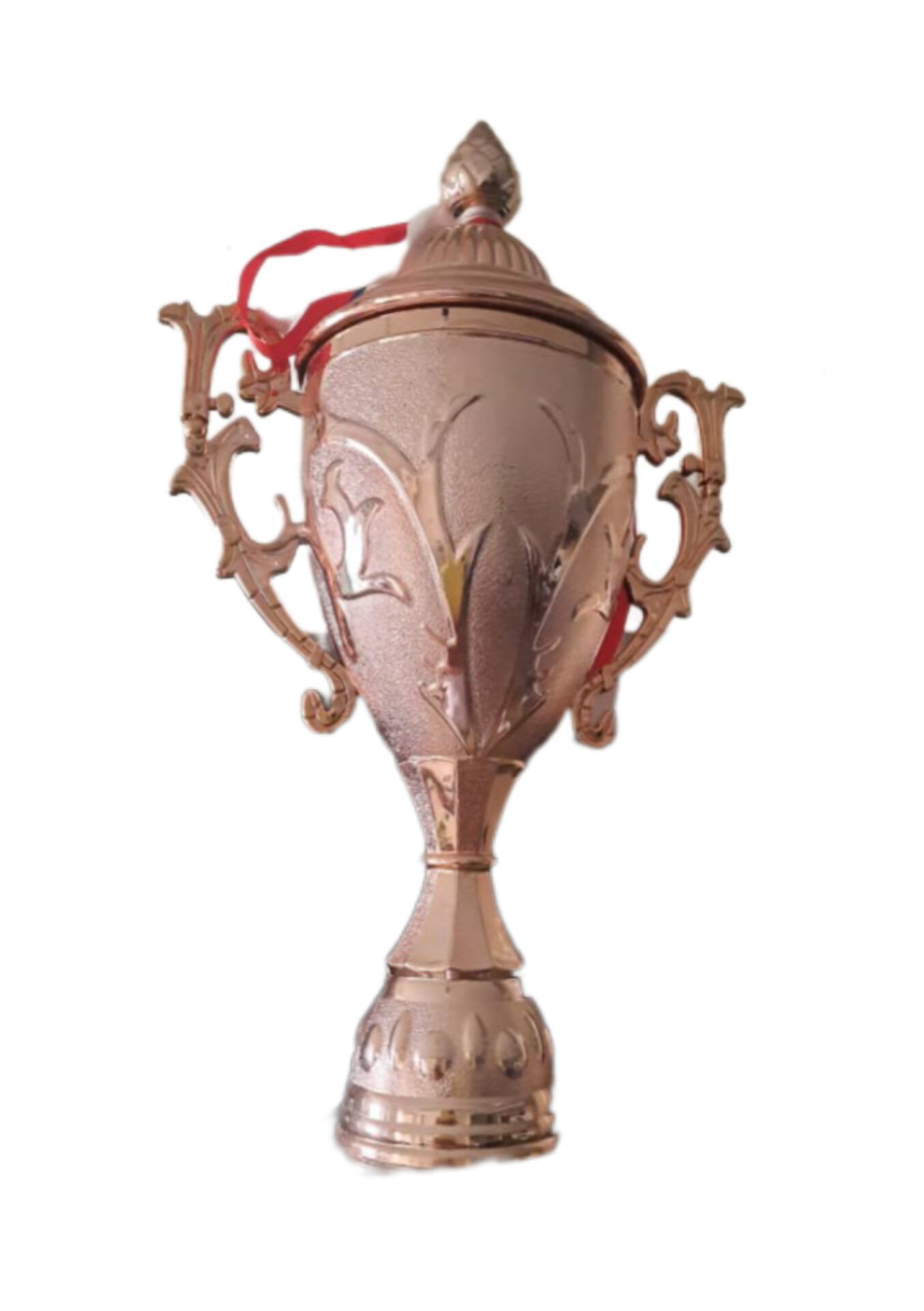 بوکس سلطان ورزشهاست 