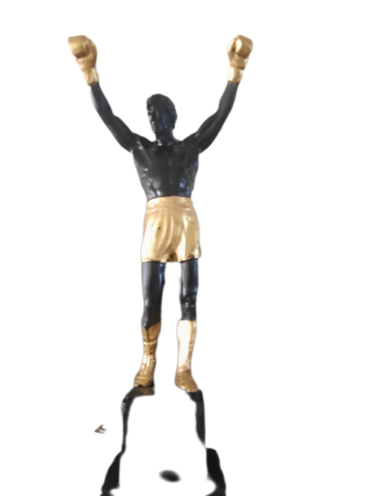 بوکس سلطان ورزشهاست 