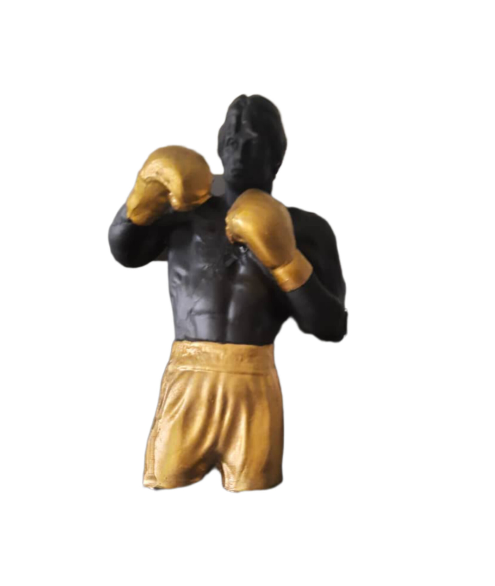 بوکس سلطان ورزشهاست 