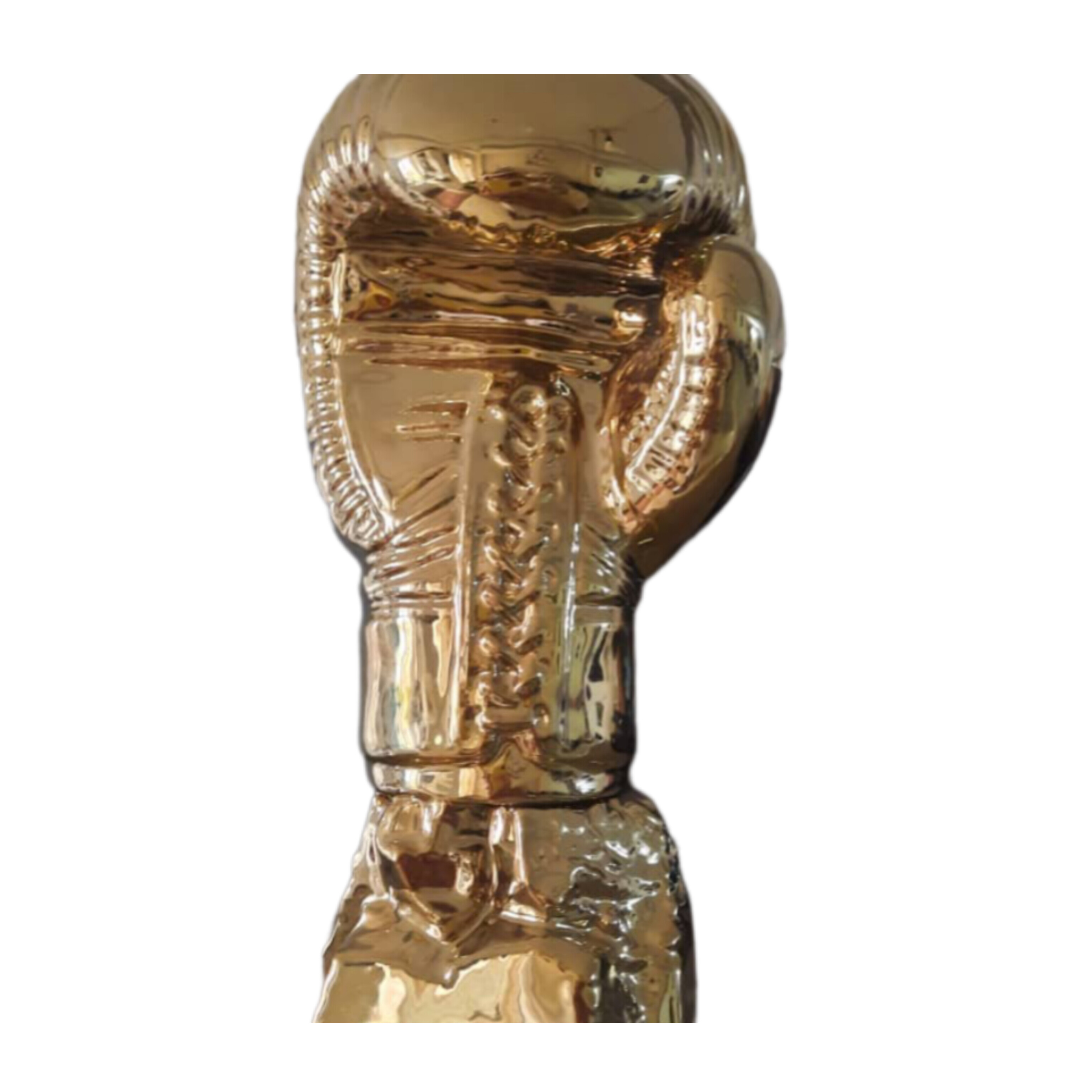 بوکس سلطان ورزشهاست 