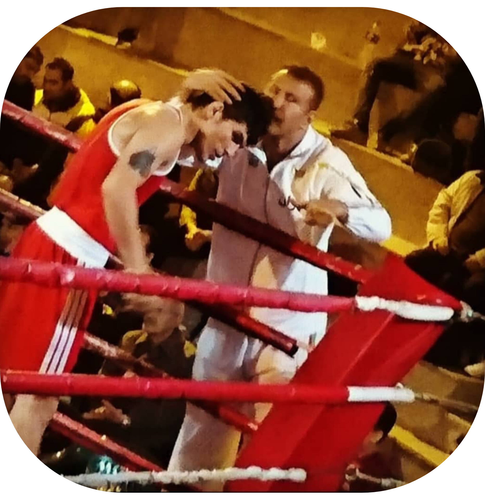 بوکس سلطان ورزشهاست 