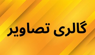 بهترین سکه فروشی کرمان