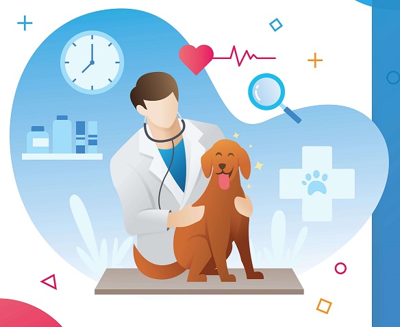 خدمات دامپزشکی در جنت آباد