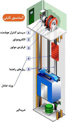 سیستم ایمنی 
