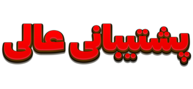 پشتیبانی برای سایت های وردپرسی