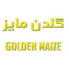 نمایندگی انحصاری محصولات روغن ذرت گلدن مایز