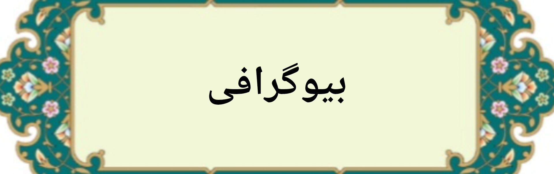 خرید چوب راش کوتاه