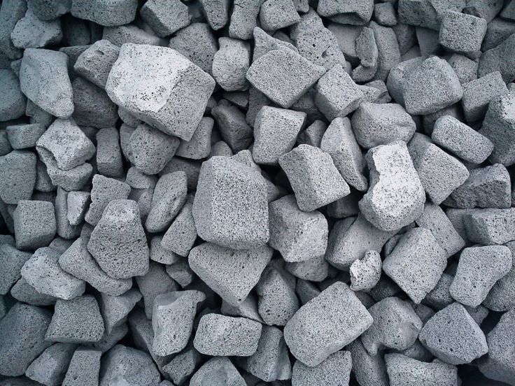 زهره فریدونی گودرزی