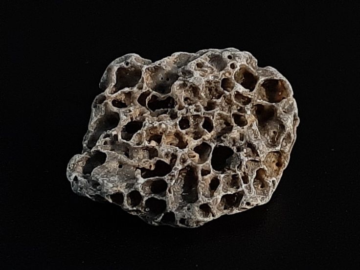 زهره فریدونی گودرزی